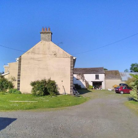Castletownmoor Clinic & Permaculture Farm Hotel Kells  Bagian luar foto