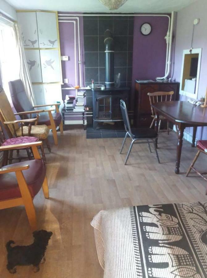 Castletownmoor Clinic & Permaculture Farm Hotel Kells  Bagian luar foto