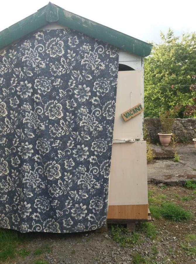 Castletownmoor Clinic & Permaculture Farm Hotel Kells  Bagian luar foto