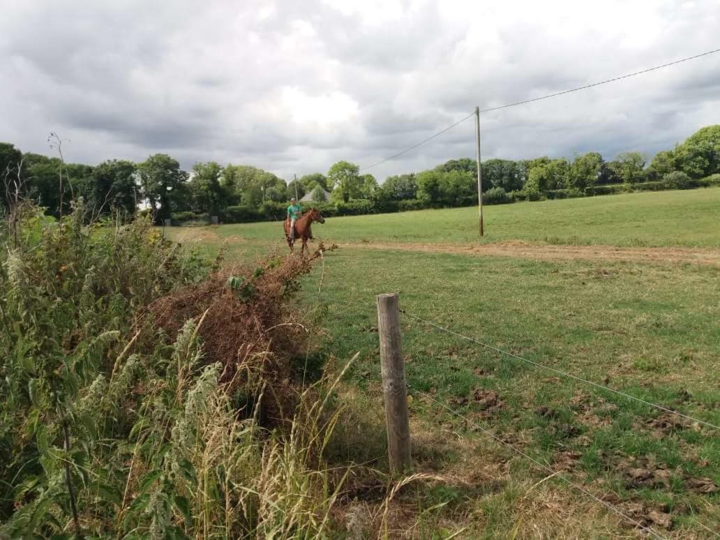 Castletownmoor Clinic & Permaculture Farm Hotel Kells  Bagian luar foto