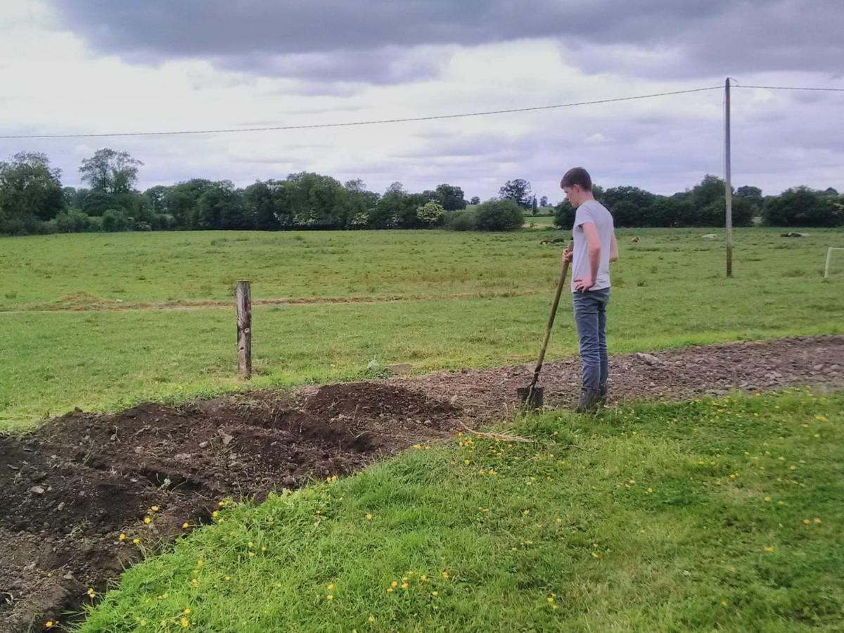 Castletownmoor Clinic & Permaculture Farm Hotel Kells  Bagian luar foto