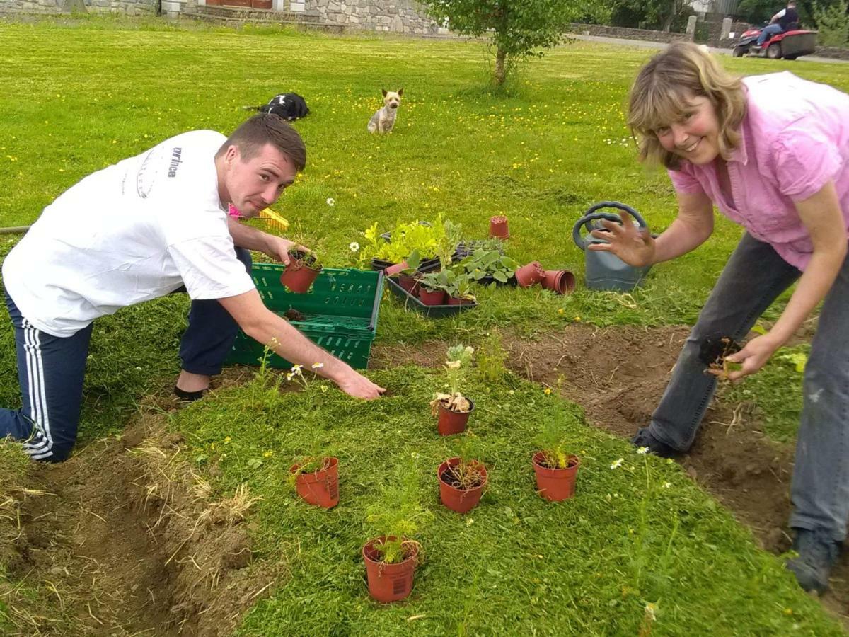 Castletownmoor Clinic & Permaculture Farm Hotel Kells  Bagian luar foto